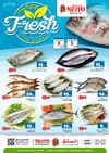 Nesto - Fish Deals